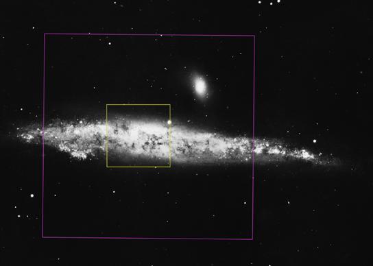 NGC 4631 optisch